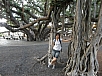 P2141504.jpg