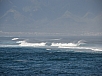P2141572.jpg