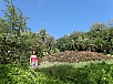 P2151683.jpg