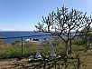 P2151741.jpg