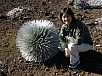 P2180064.jpg
