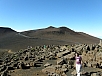 P2180093.jpg