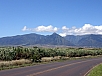 P2180146.jpg