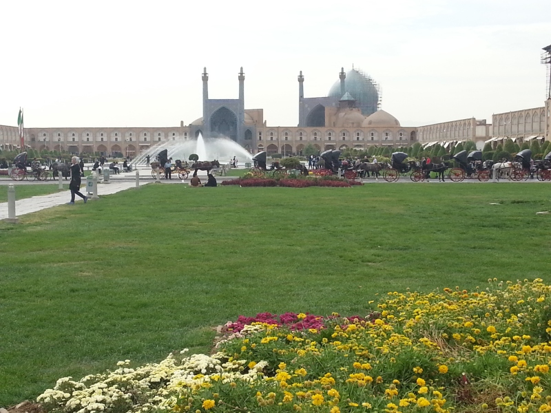 20141016_095816.jpg