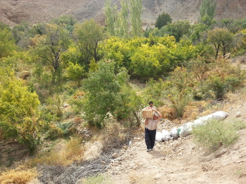 20141017_123808.jpg