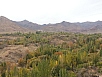 20141017_122155.jpg