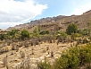 20141017_123657.jpg