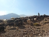 20141018_125200.jpg