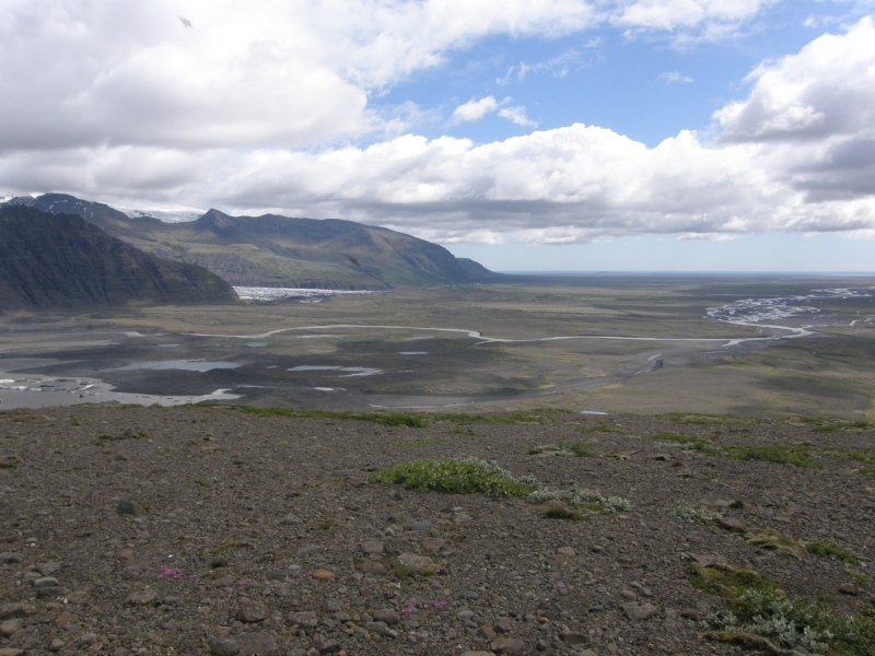 P7100964.jpg