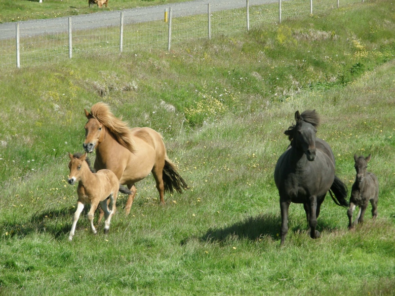 P7111169.jpg