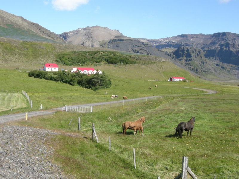 P7111171.jpg