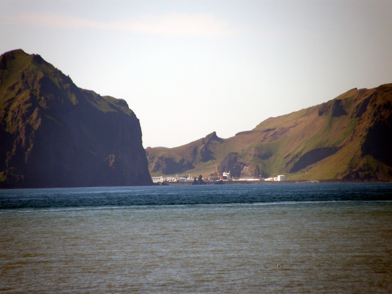 P7121341.jpg