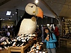 P7070262.jpg