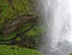 P7080411.jpg