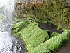 P7080427.jpg