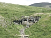 P7100890.jpg