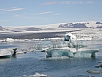 P7111124.jpg