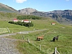 P7111171.jpg
