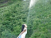 P7121324.jpg