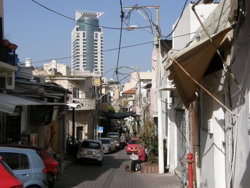 P2080025.jpg