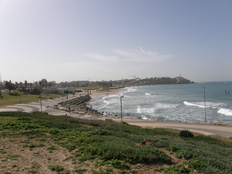 P2080044.jpg