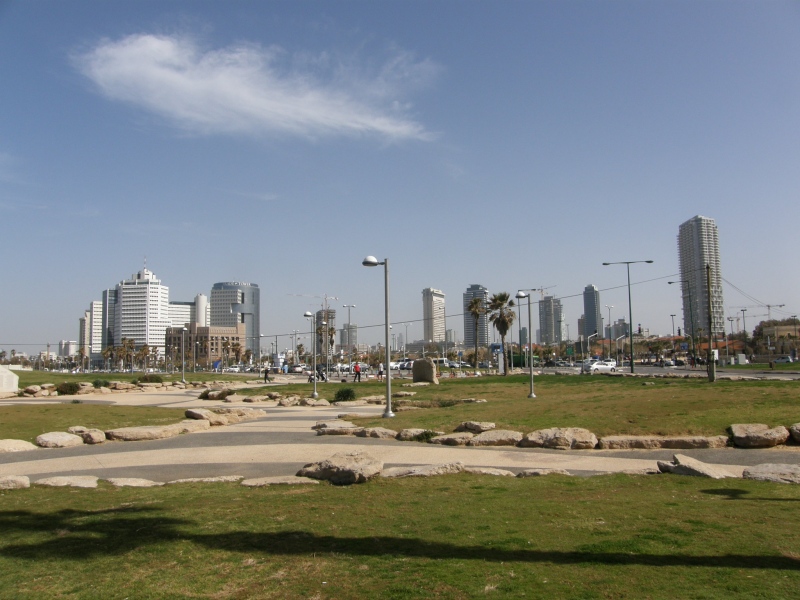 P2080062.jpg