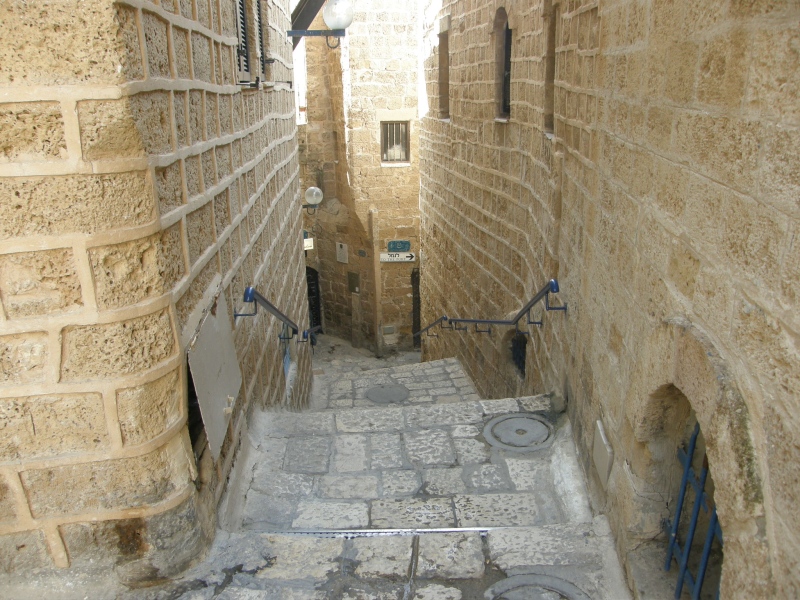 P2080095.jpg