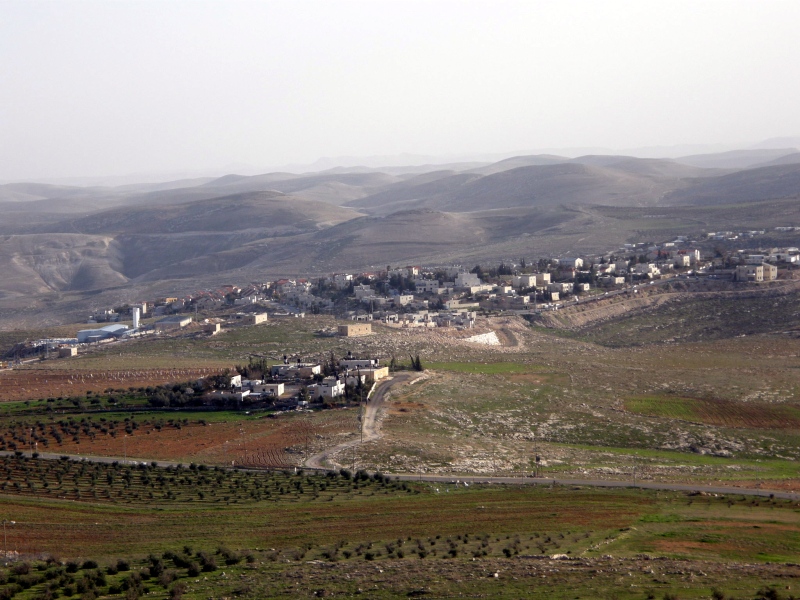 P2090323.jpg