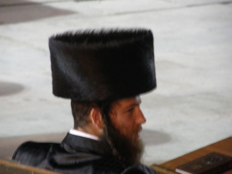 P2090431.jpg