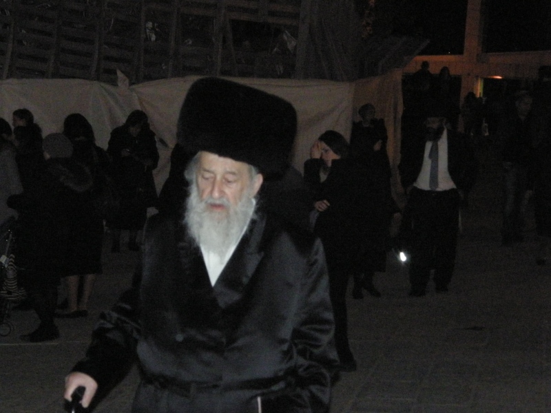 P2090440.jpg