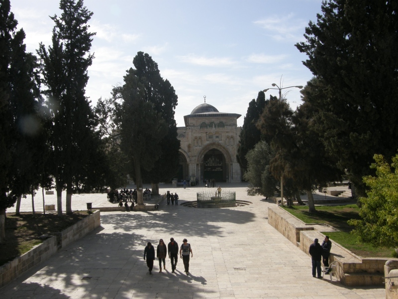 P2100590.jpg