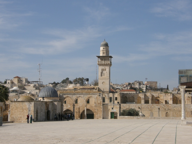 P2100593.jpg