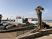 P2080037.jpg