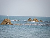 P2080087.jpg