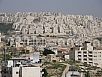 P2090247.jpg