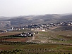 P2090323.jpg
