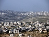P2090332.jpg