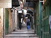 P2100495.jpg