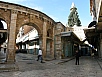 P2100535.jpg