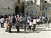 P2100539.jpg