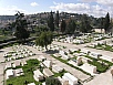 P2110799.jpg