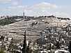 P2110808.jpg