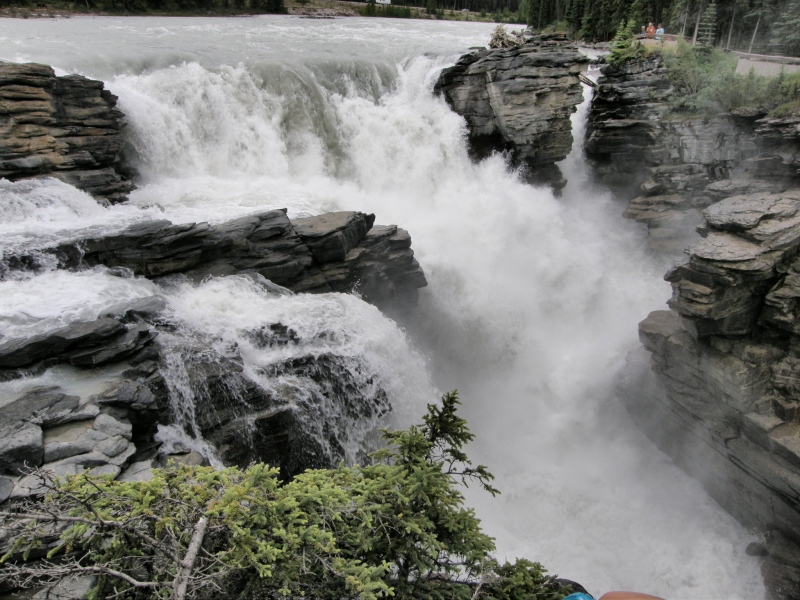 P7111330.jpg