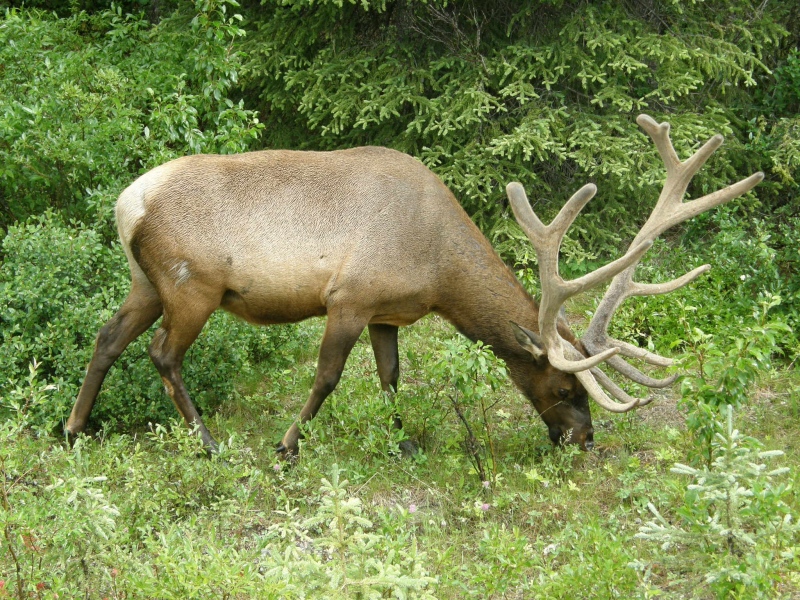 P7111431.jpg