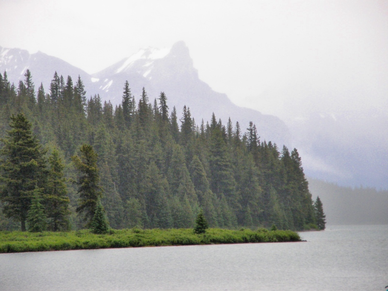 P7111464.jpg