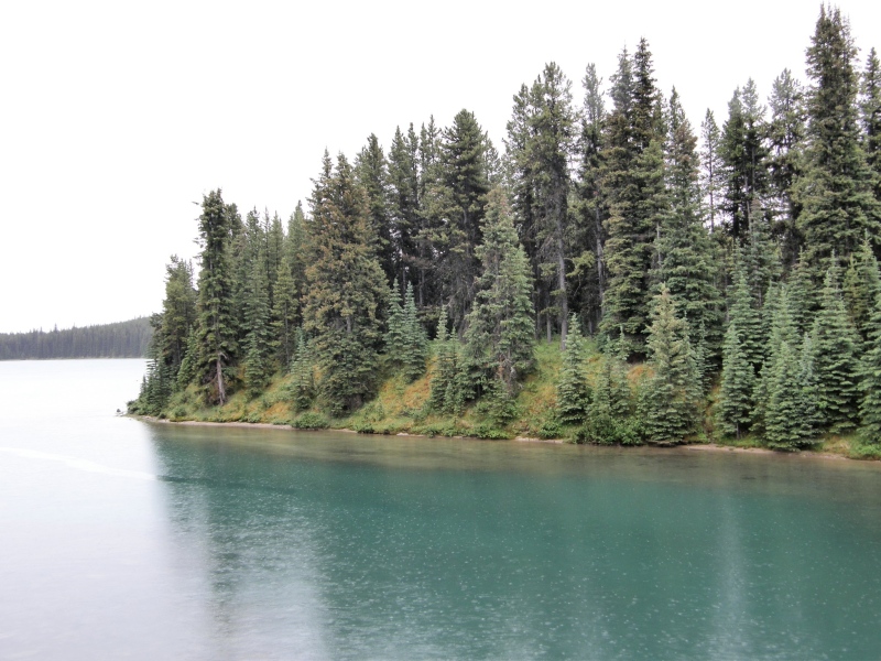 P7111476.jpg