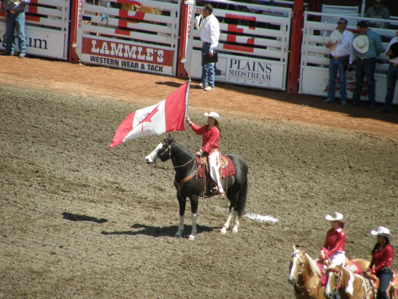 P7140069.jpg