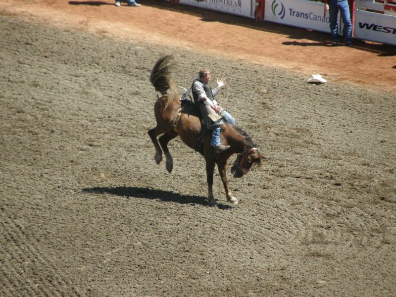 P7140076.jpg