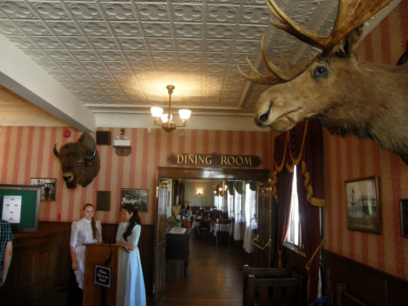 P7140354.jpg