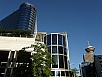 P7040178.jpg
